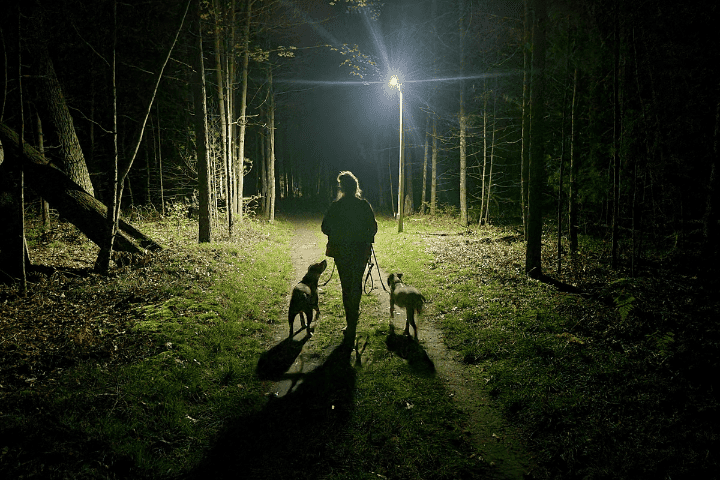 lady hiking at night with dogs